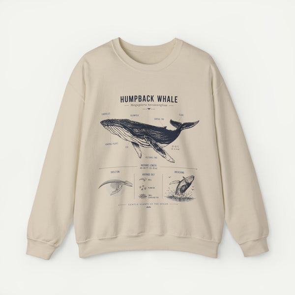Humpback Whale Anatomy Sweatshirt