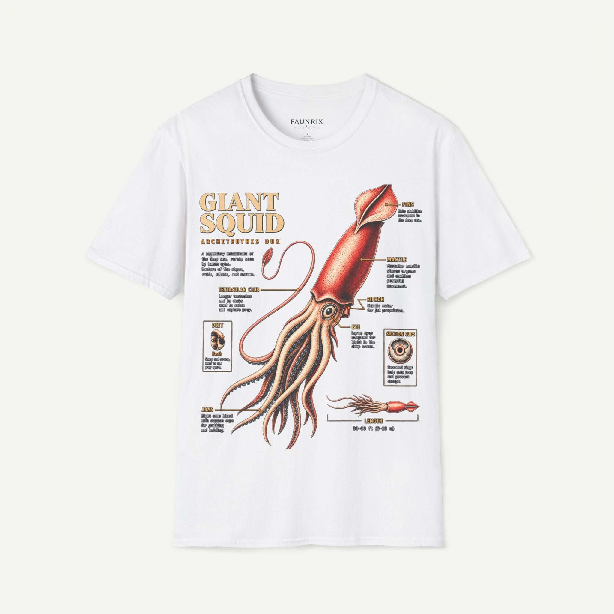 Squid Anatomy Graphic T-Shirt — 'Giant Squid' Vintage Scientific Illustration Secondary image