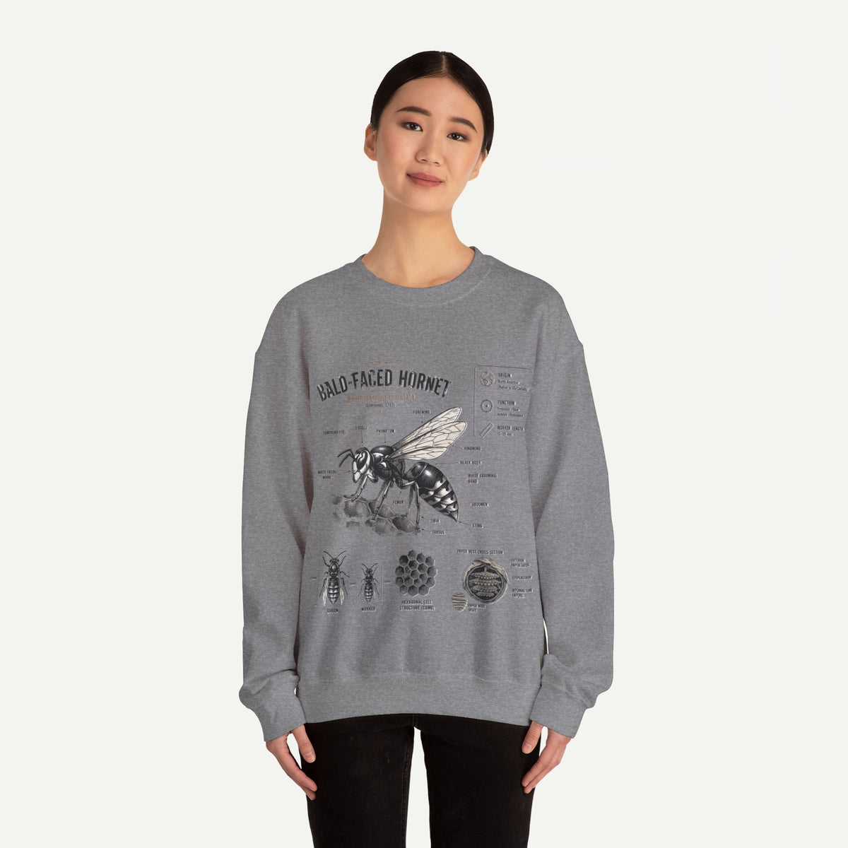 Hornet Anatomy Sweatshirt — Bald-Faced Hornet Diagram Crewneck