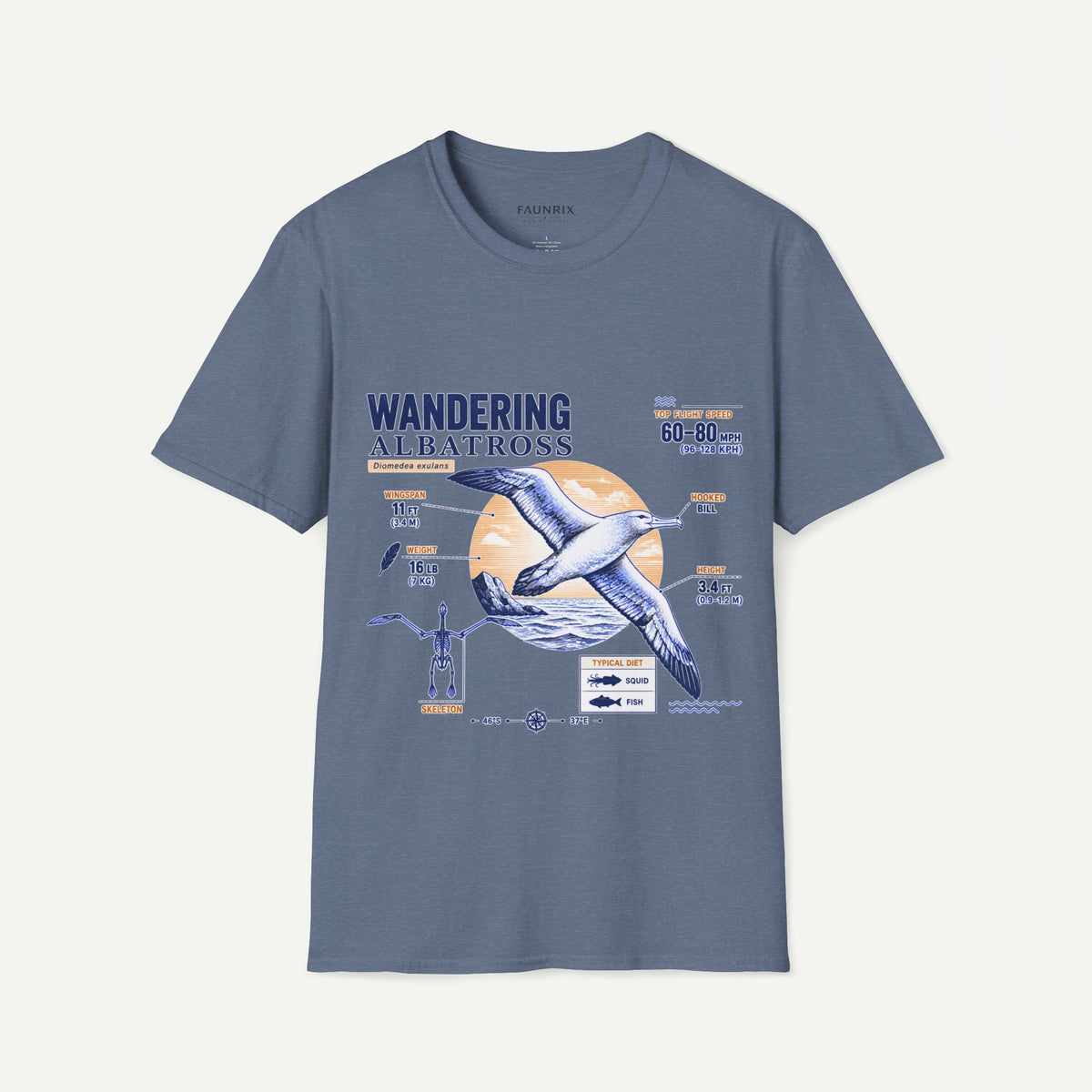 Wandering Albatross Anatomy T-Shirt — Vintage Seabird Graphic Tee