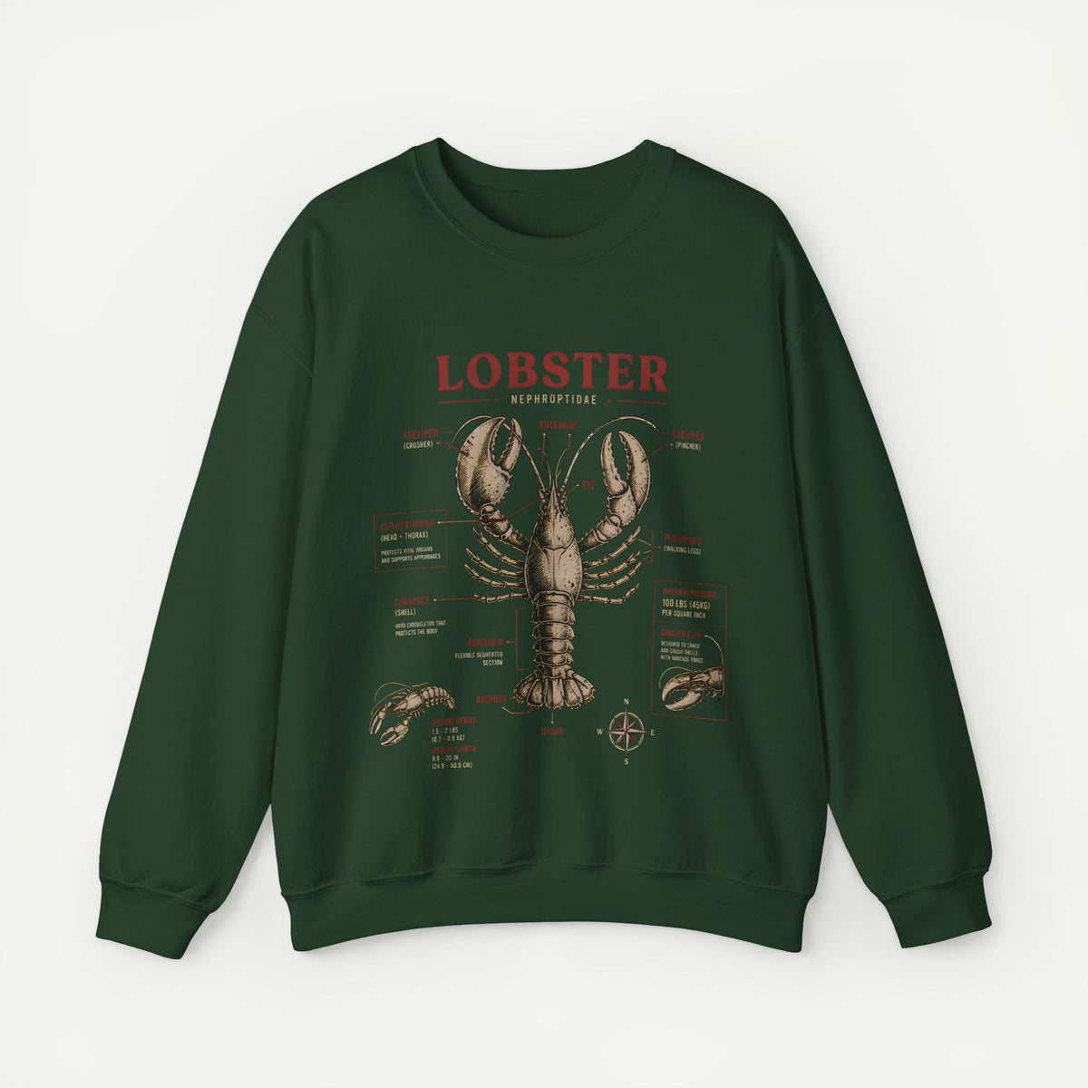 Lobster Anatomy Crewneck Sweatshirt