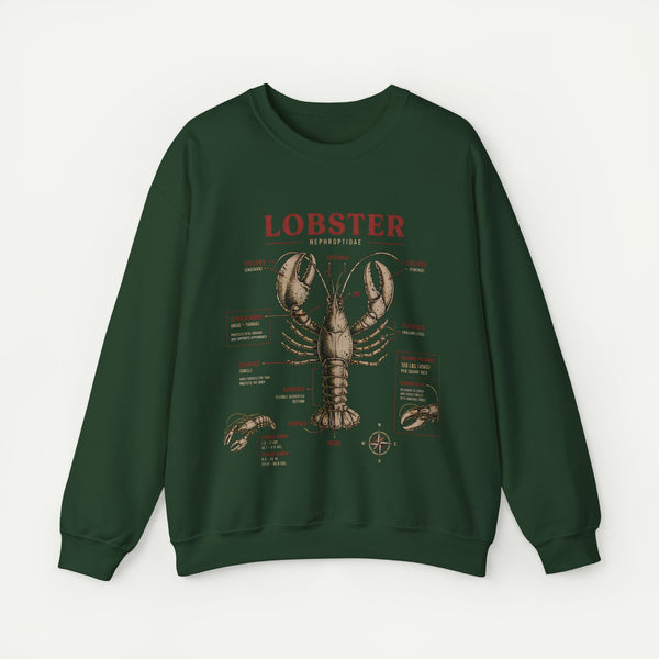 Lobster Anatomy Crewneck Sweatshirt