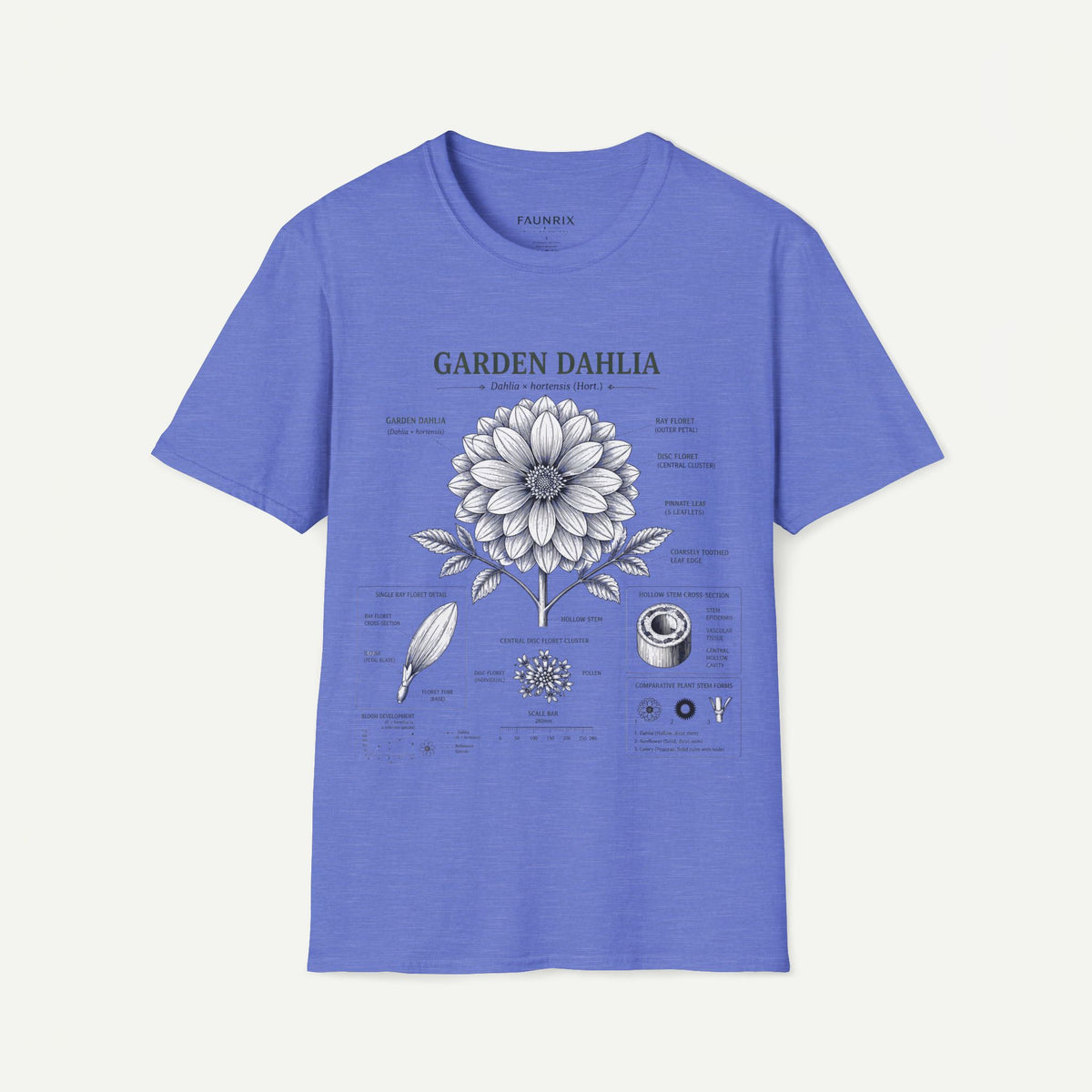 Dahlia Botanical Tee — 'Garden Dahlia' Floral Anatomy T-Shirt
