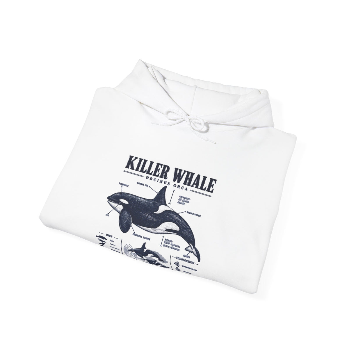 Killer Whale Anatomy Hoodie — Orca Scientific Diagram Sweatshirt