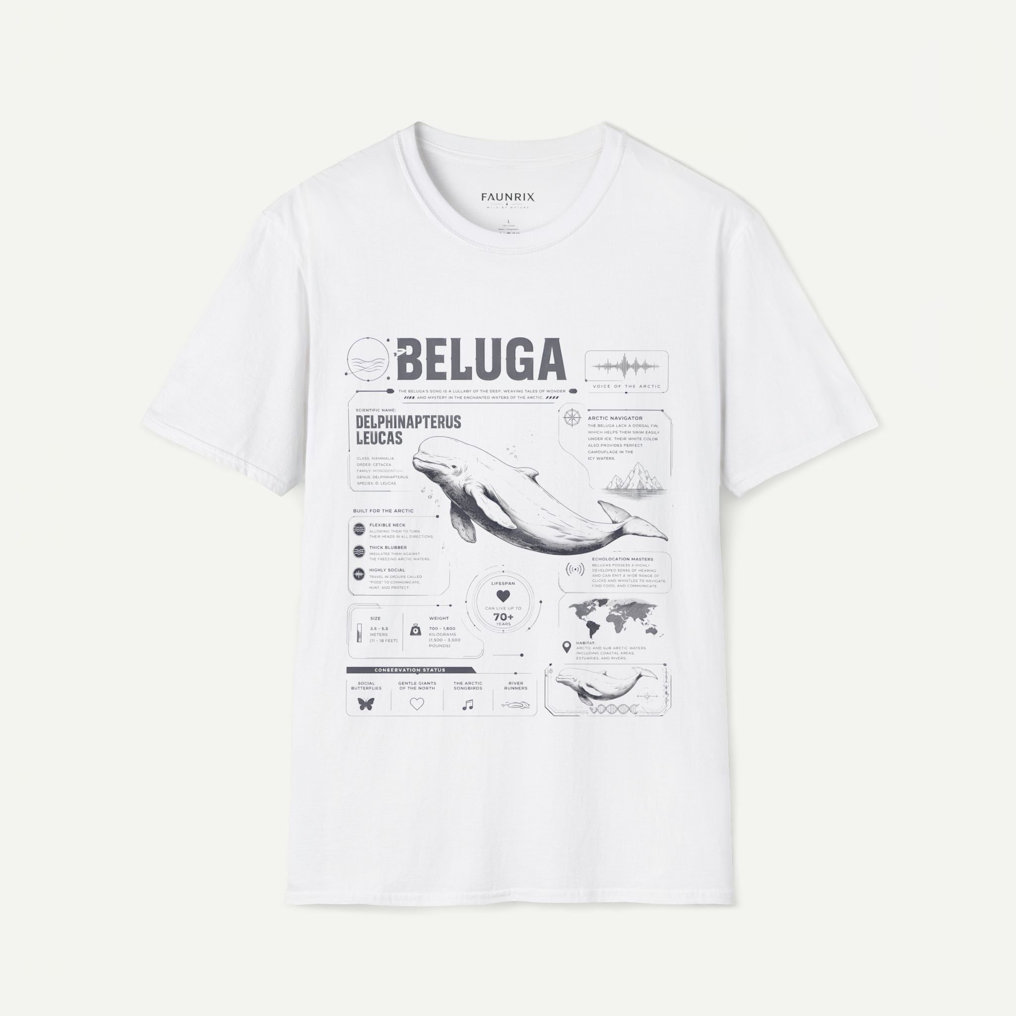 Beluga Whale Anatomy T-Shirt — Marine Life Illustration Tee Delphinapterus leucas Secondary image