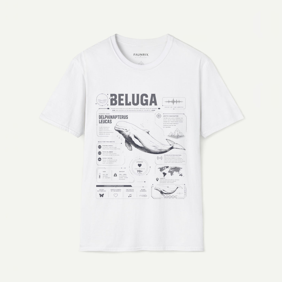 Beluga Whale Anatomy T-Shirt — Marine Life Illustration Tee Delphinapterus leucas