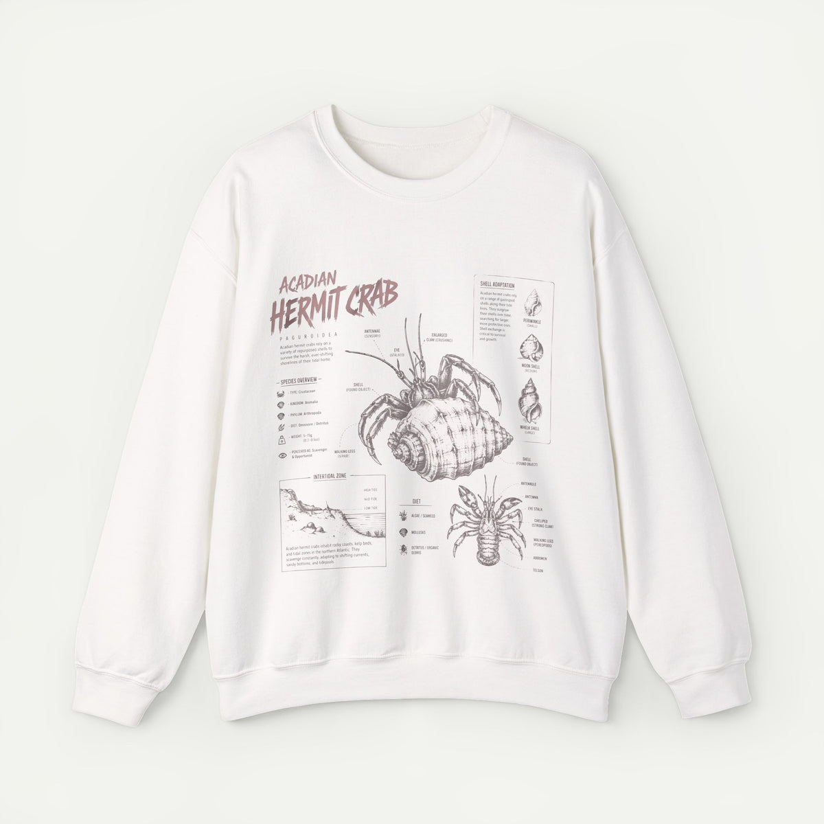 Hermit Crab Anatomy Sweatshirt — Acadian Hermit Crab Illustration Main image