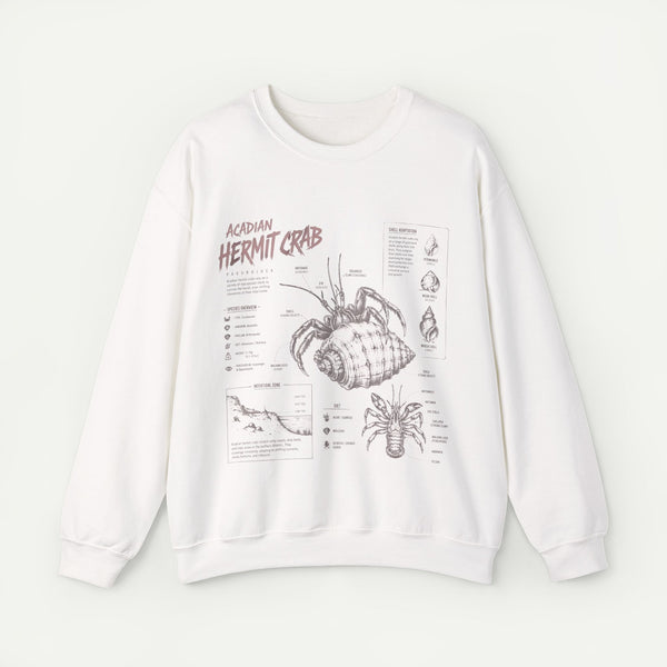 Hermit Crab Anatomy Sweatshirt — Acadian Hermit Crab Illustration