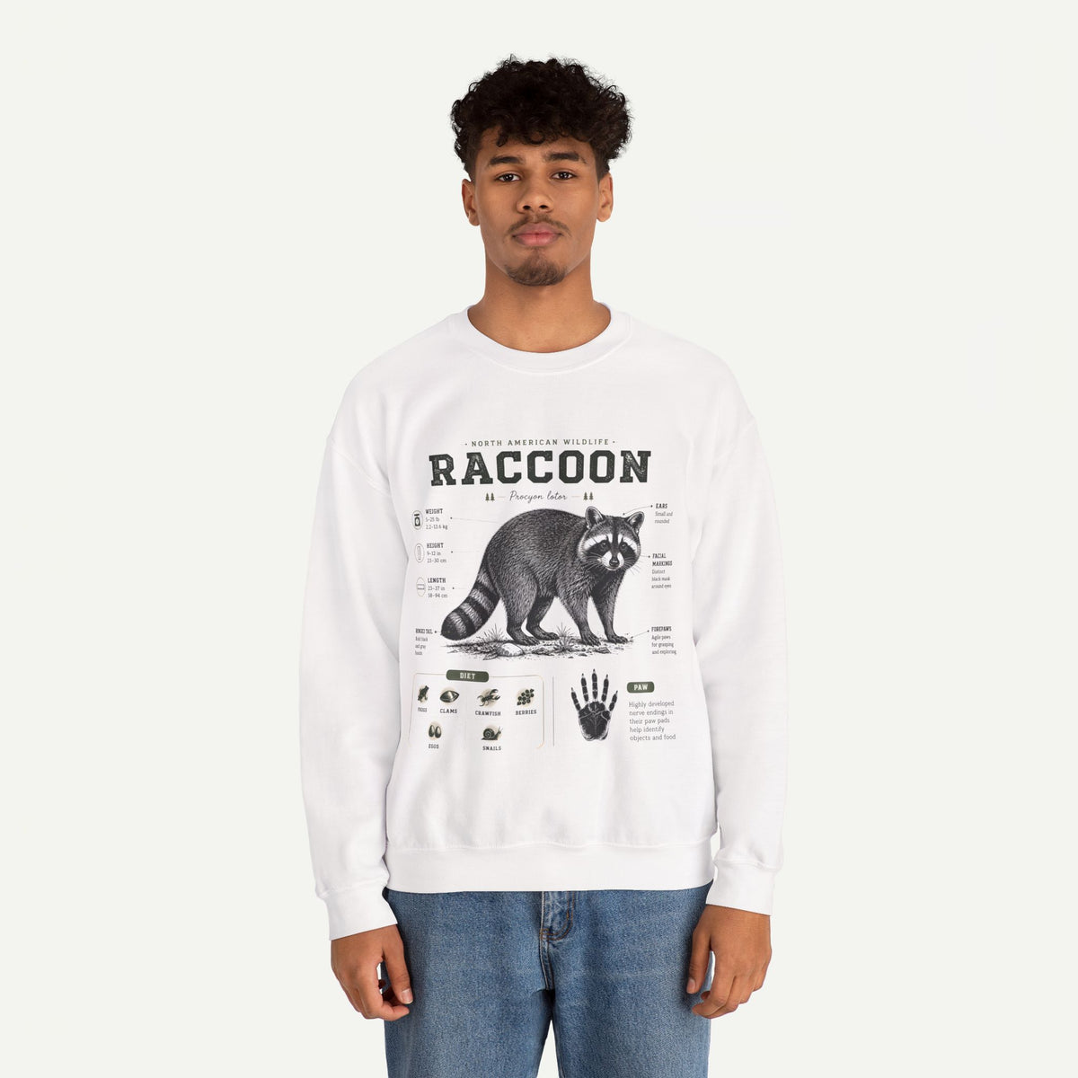Raccoon Anatomy  Sweatshirt — Vintage Wildlife Illustration