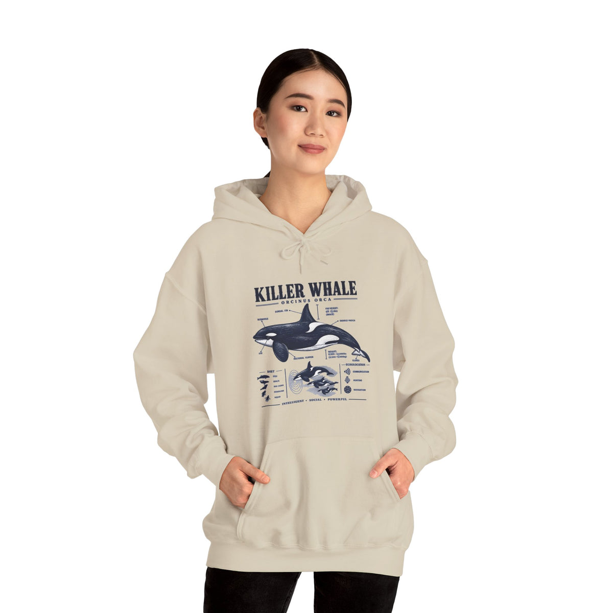 Killer Whale Anatomy Hoodie — Orca Scientific Diagram Sweatshirt