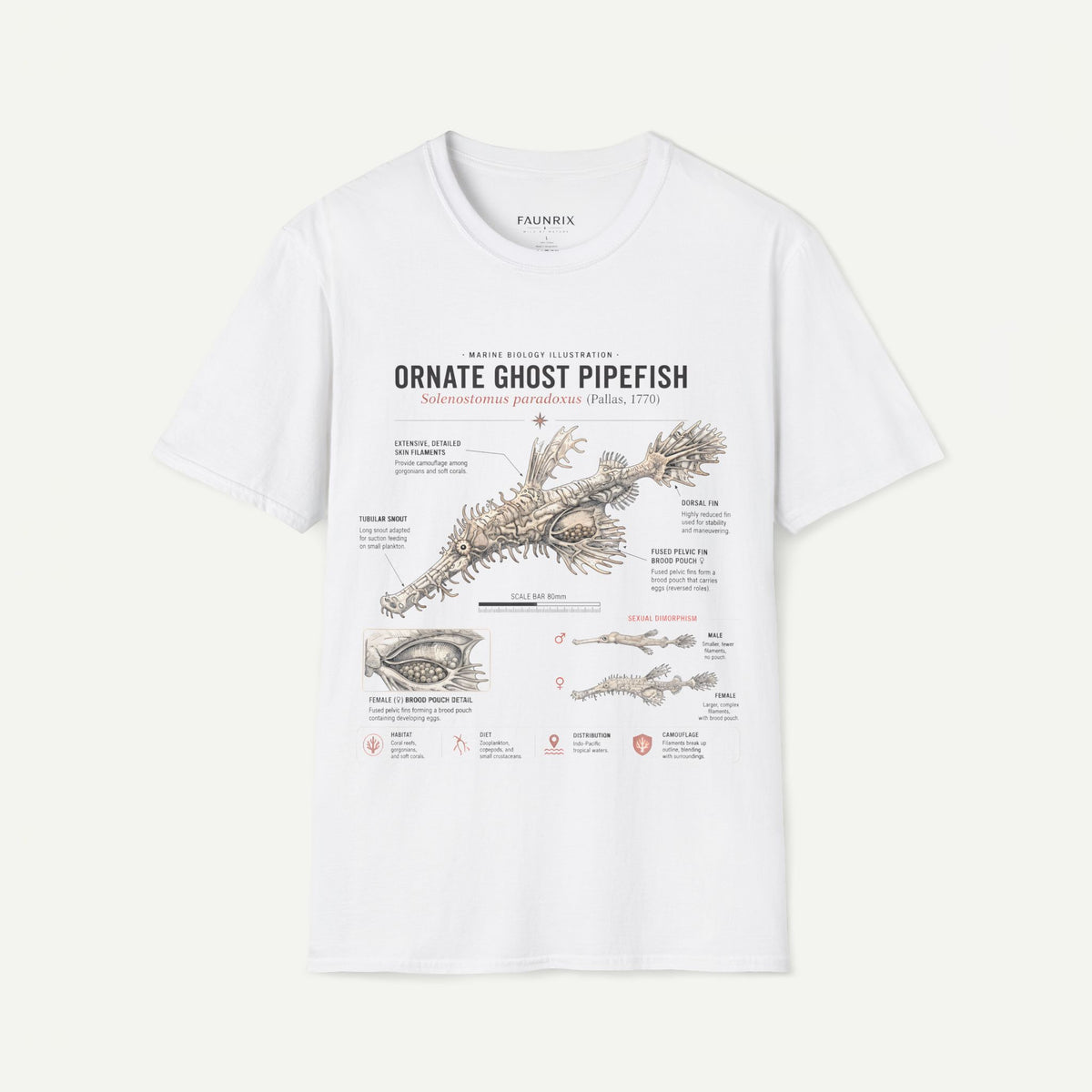 Ornate Ghost Pipefish Anatomy T-Shirt Main image