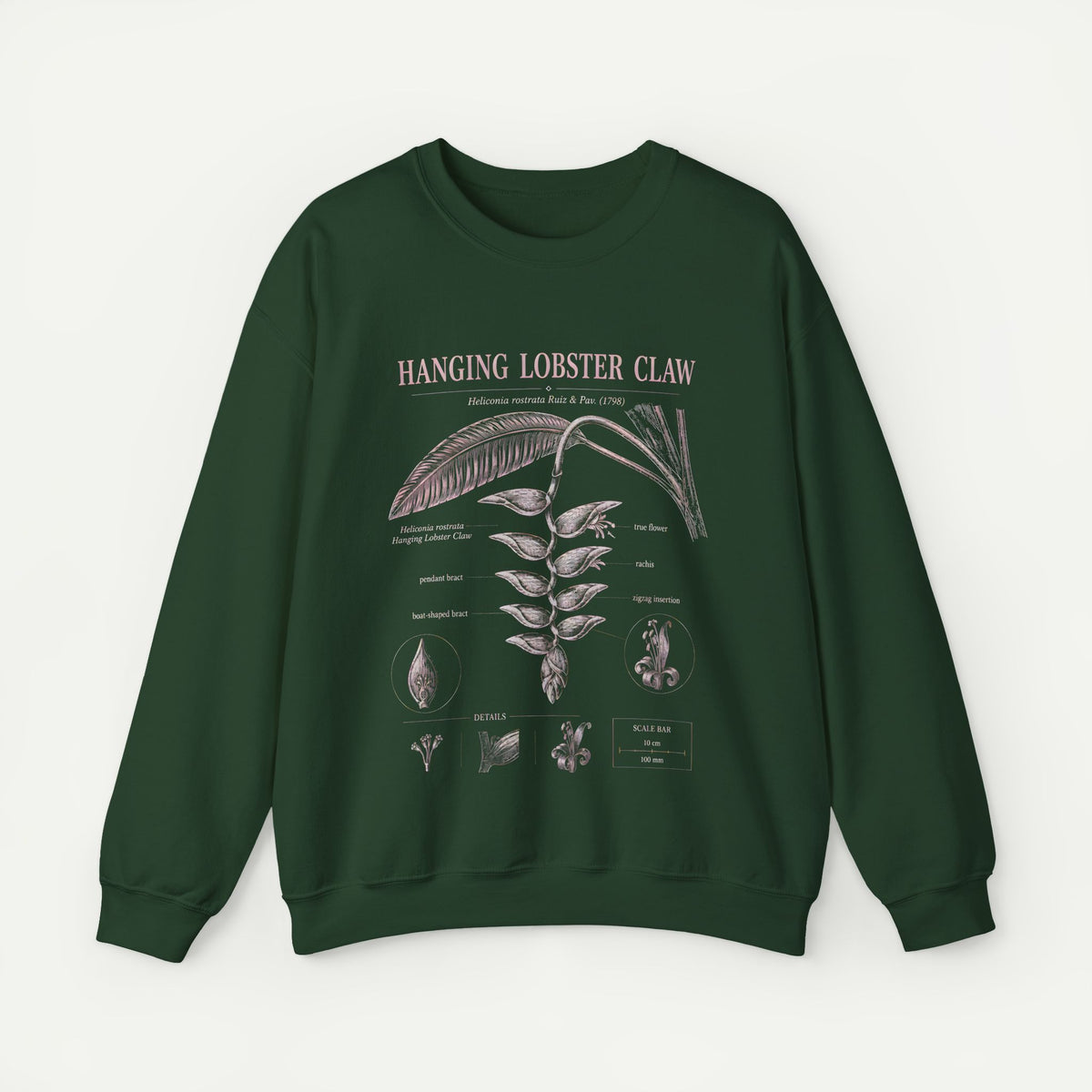 Botanical 'Hanging Lobster Claw' Sweatshirt – Vintage Tropical Plant Illustration