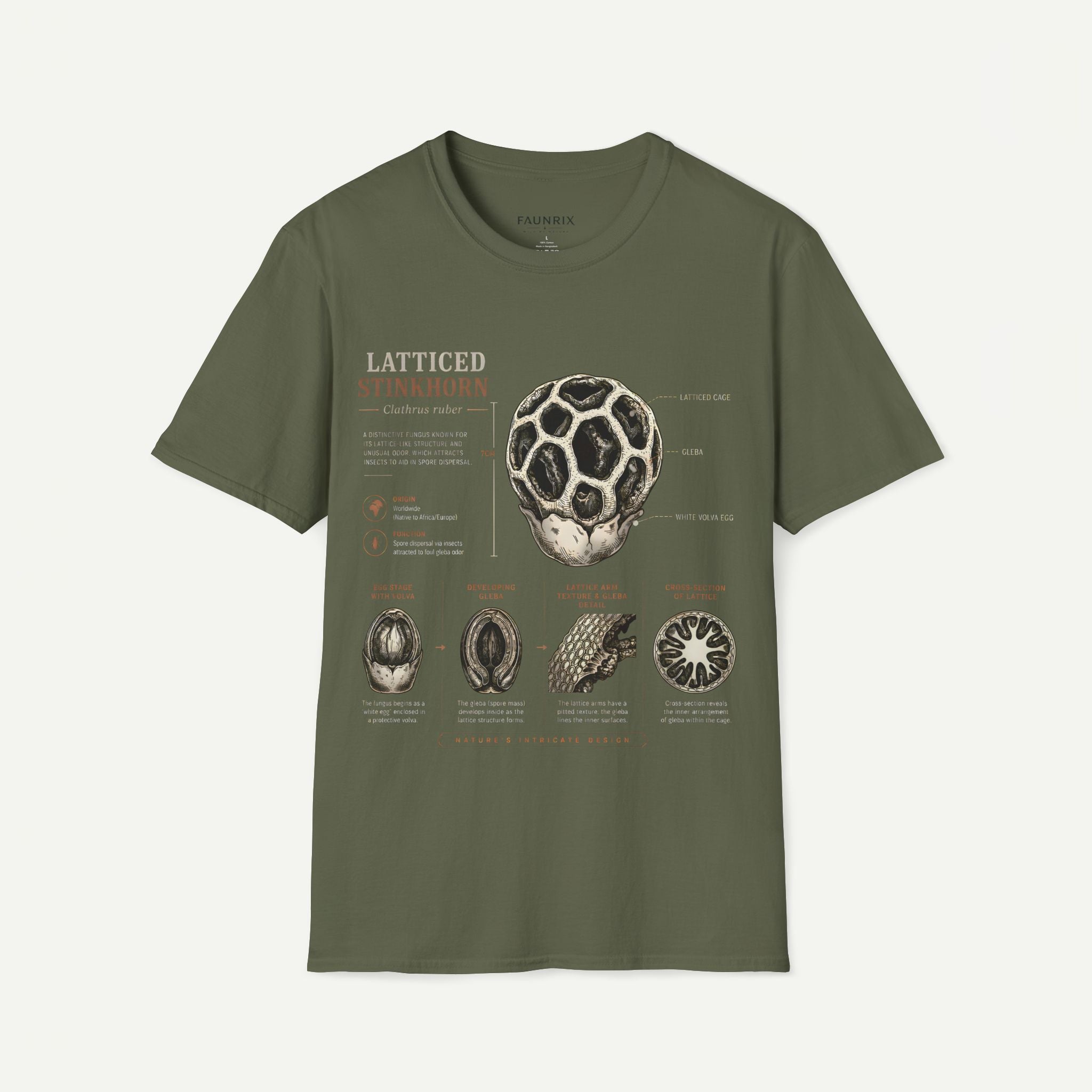 Botanical Latticed Stinkhorn  Anatomy  Vintage Naturalist Shirt Secondary image