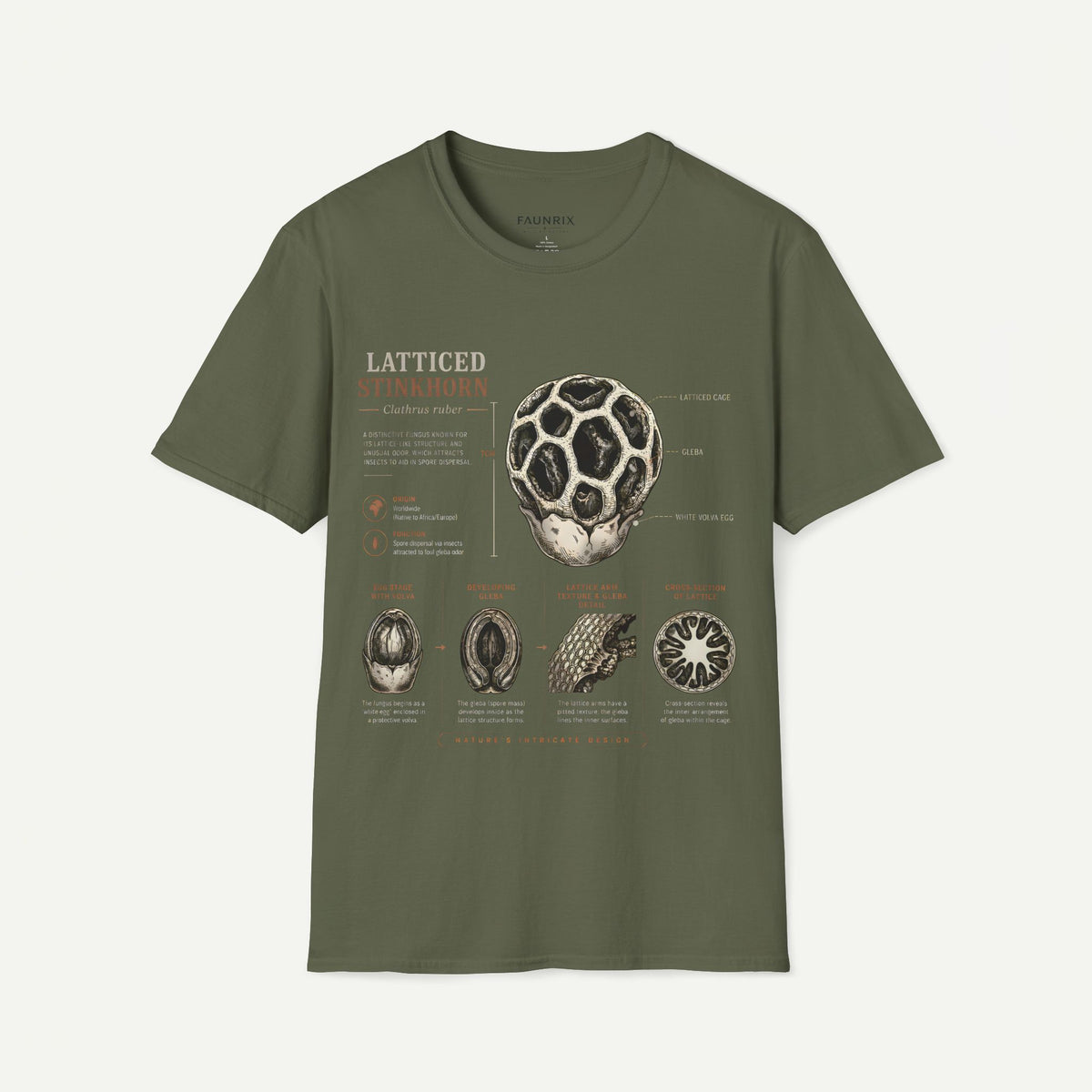 Botanical Latticed Stinkhorn  Anatomy  Vintage Naturalist Shirt