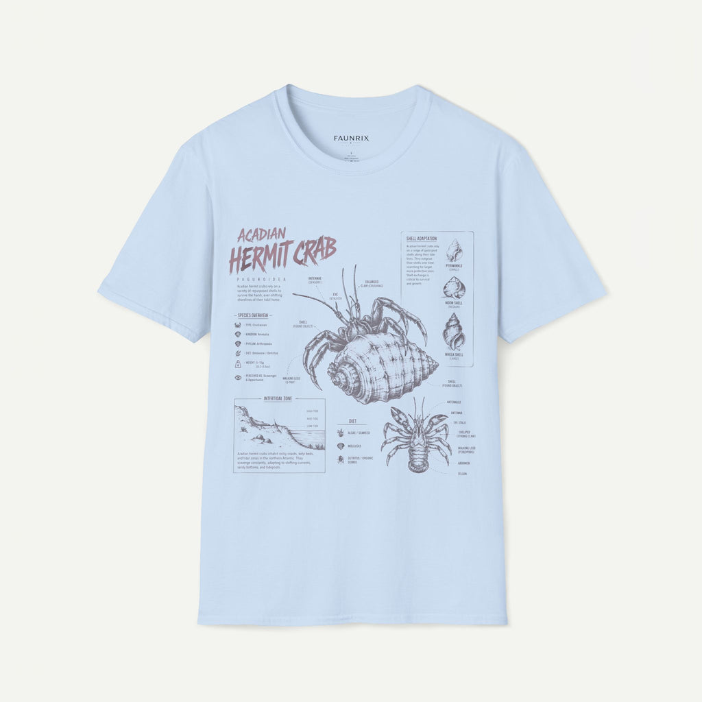 Hermit Crab Anatomy T-Shirt — Acadian Marine Illustration Tee