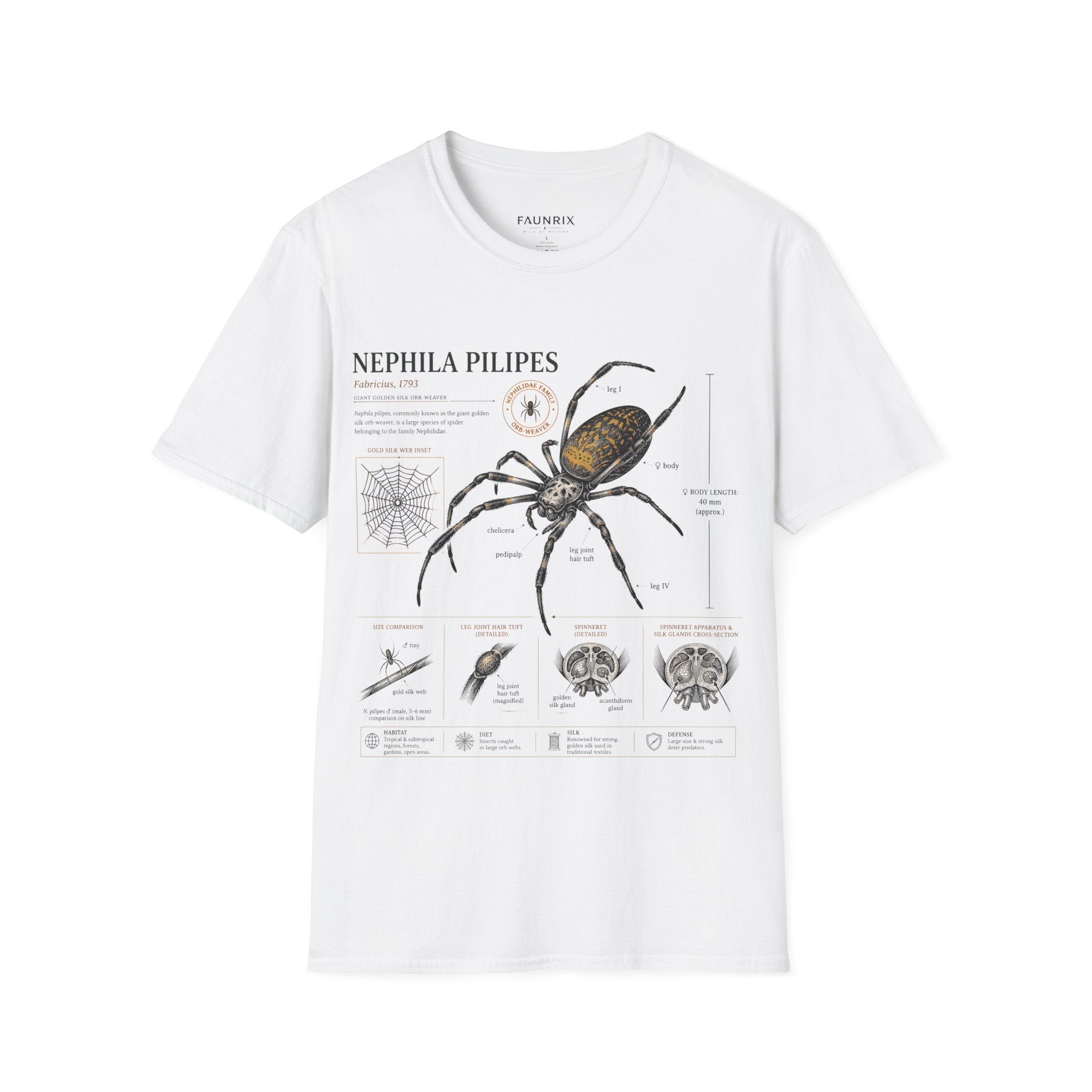 Spider Anatomy T-Shirt — Epephila Pilipis Scientific Illustration Tee Secondary image