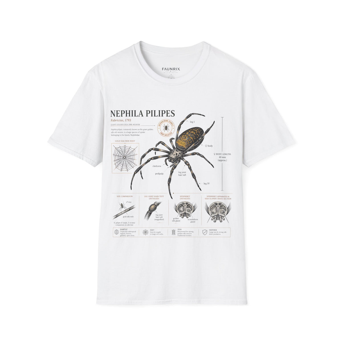Spider Anatomy T-Shirt — Epephila Pilipis Scientific Illustration Tee