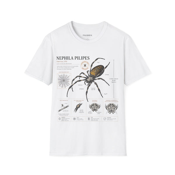 Spider Anatomy T-Shirt — Epephila Pilipis Scientific Illustration Tee