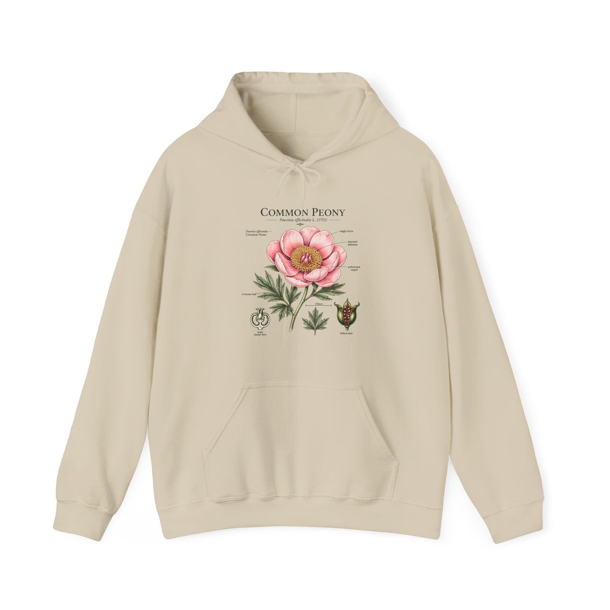Peony Botanical Hoodie — "Common Peony" Vintage Floral Diagram Sweatshirt