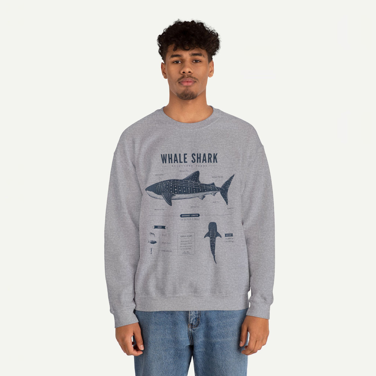 Whale Shark Anatomy Sweatshirt — Marine Life Illustration Crewneck