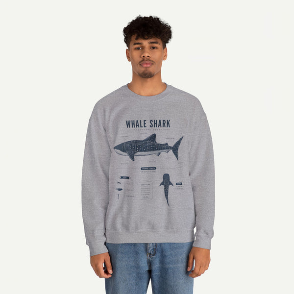 Whale Shark Anatomy Sweatshirt — Marine Life Illustration Crewneck