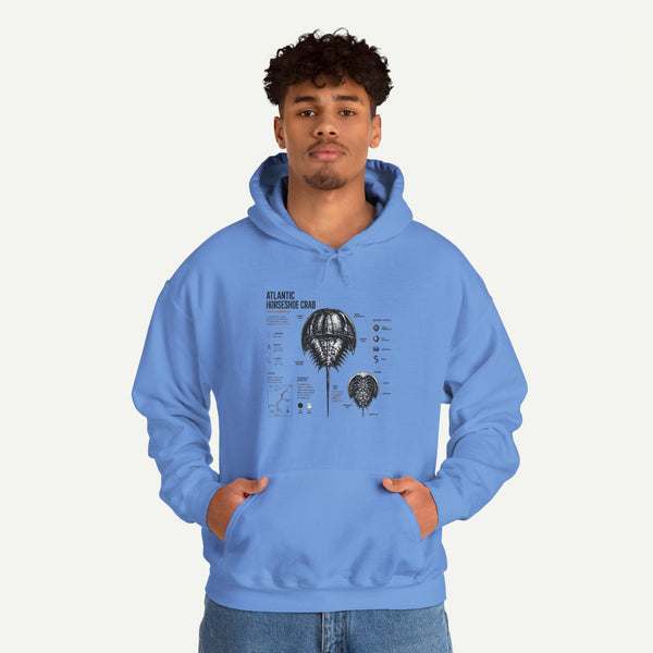 Horseshoe Crab Anatomy Hoodies