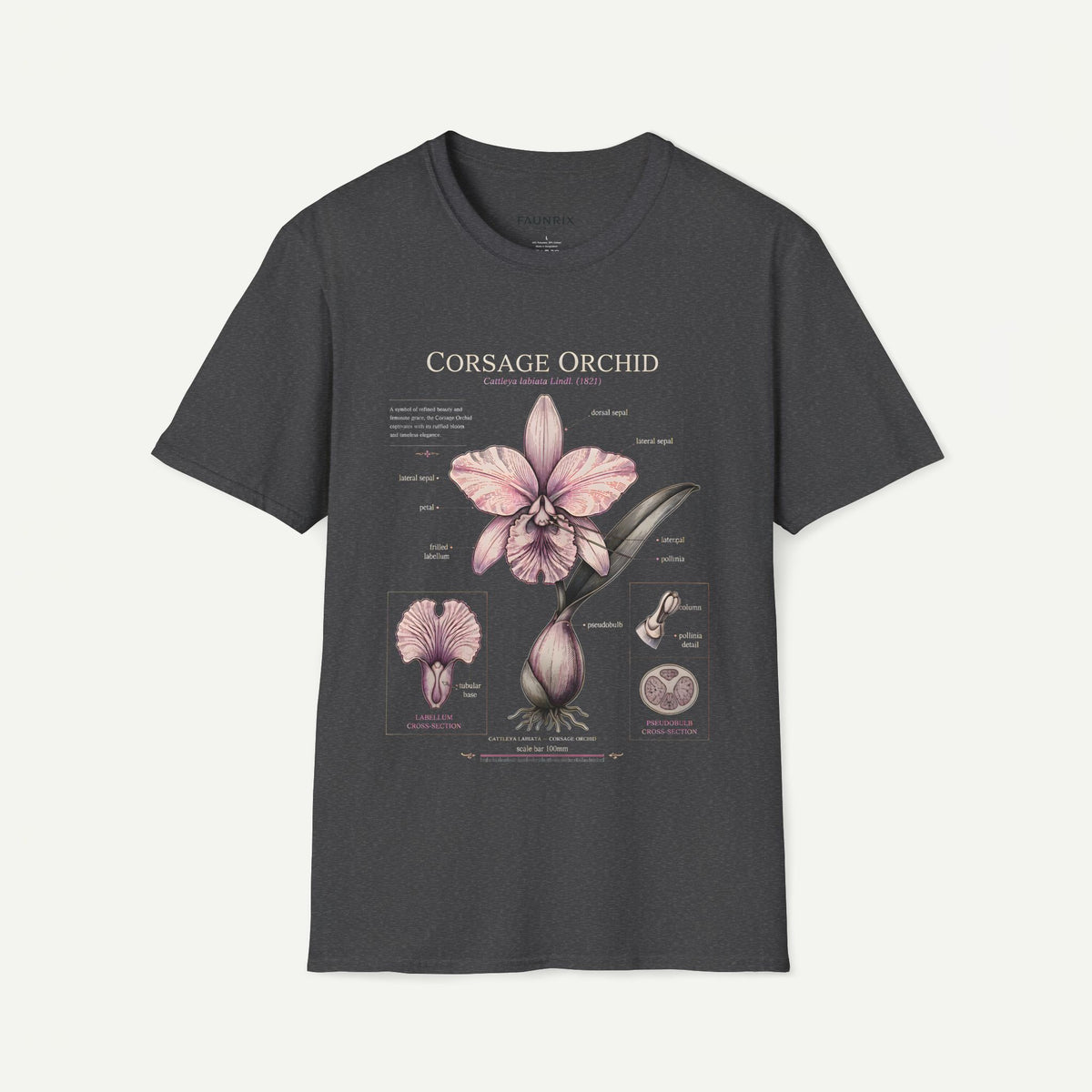 Corsage Orchid T-Shirt — Botanical Floral Diagram Tee Main image