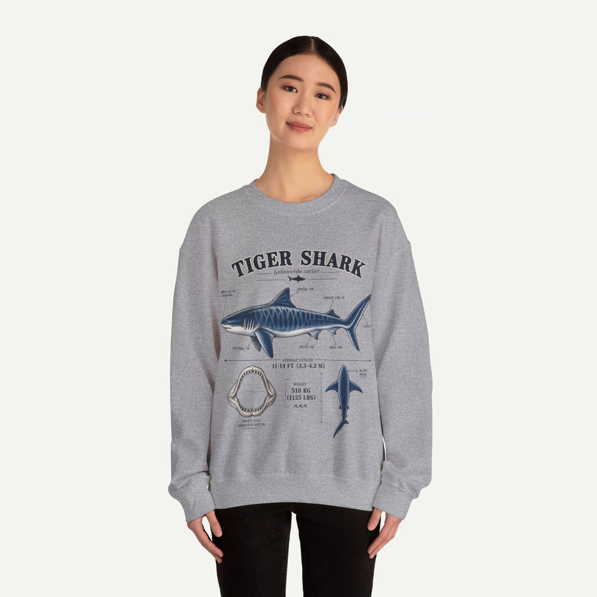 Tiger Shark Anatomy Sweatshirt