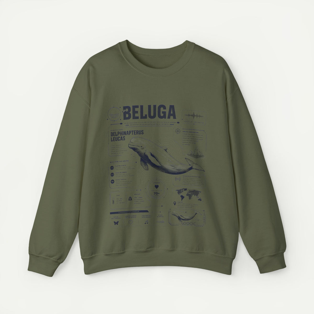 Beluga Whale Anatomy Sweatshirt