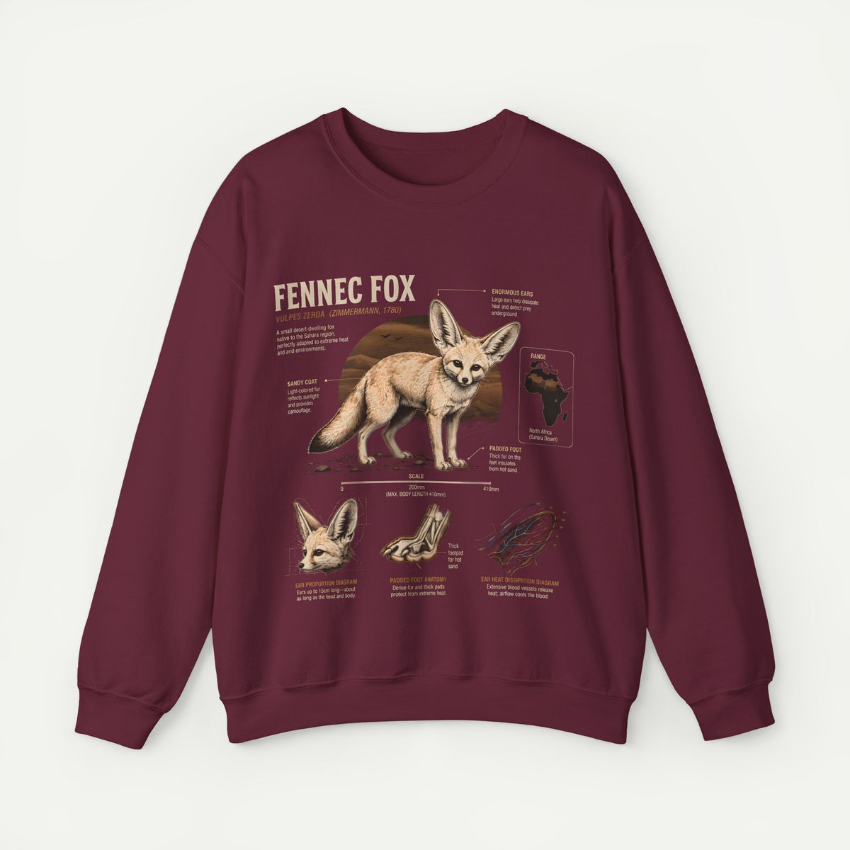 Fennec Fox Anatomy Sweatshirt – Wildlife Anatomy Crewneck