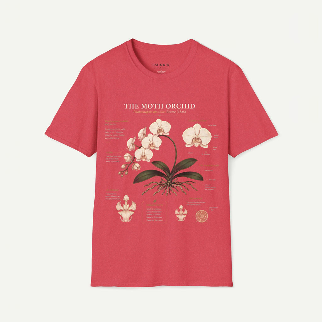 Moth Orchid Anatomy T‑Shirt — Elegant White Phalaenopsis Floral Tee