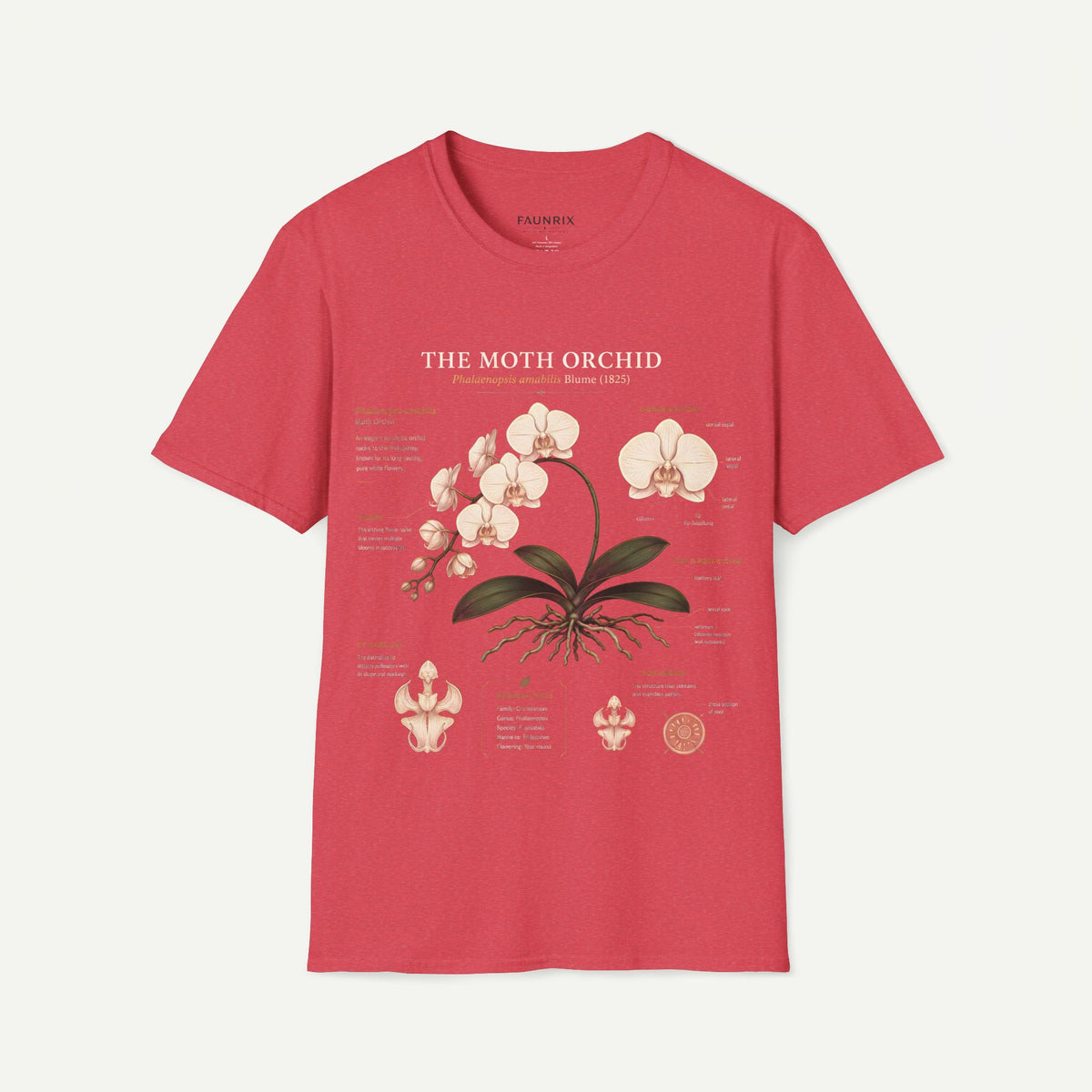 Moth Orchid Anatomy T‑Shirt — Elegant White Phalaenopsis Floral Tee