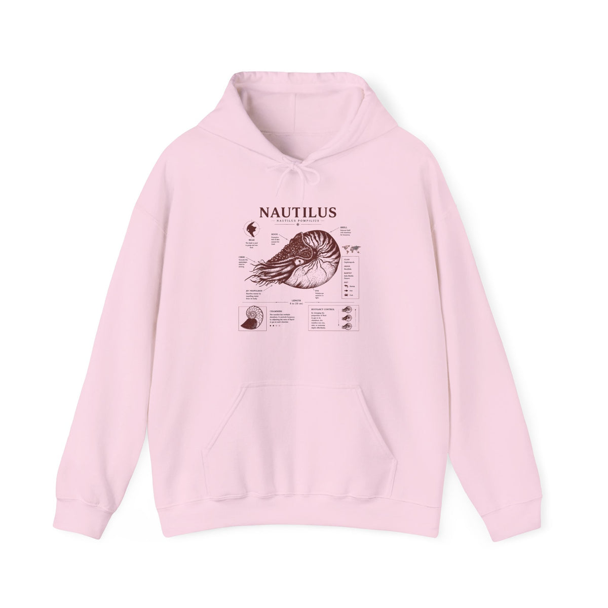 Nautilus Anatomy Hoodie – Vintage Scientific Shell Diagram Sweatshirt