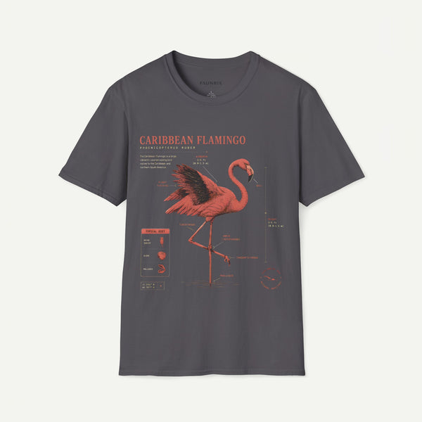 Flamingo Anatomy T-shirt — "Caribbean Flamingo" Vintage Tropical Tee