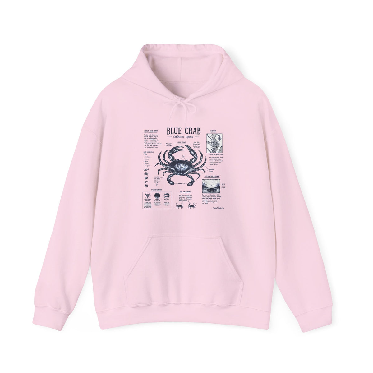 Blue Crab Anatomy Hoodie — Nautical Seafood Diagram Sweatshirt