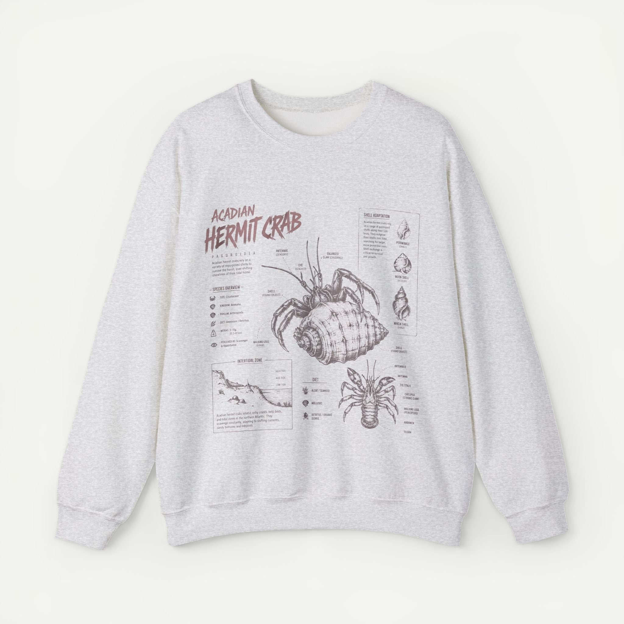 Hermit Crab Anatomy Sweatshirt — Acadian Hermit Crab Illustration Secondary image