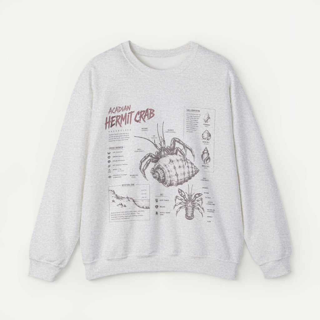 Hermit Crab Anatomy Sweatshirt — Acadian Hermit Crab Illustration