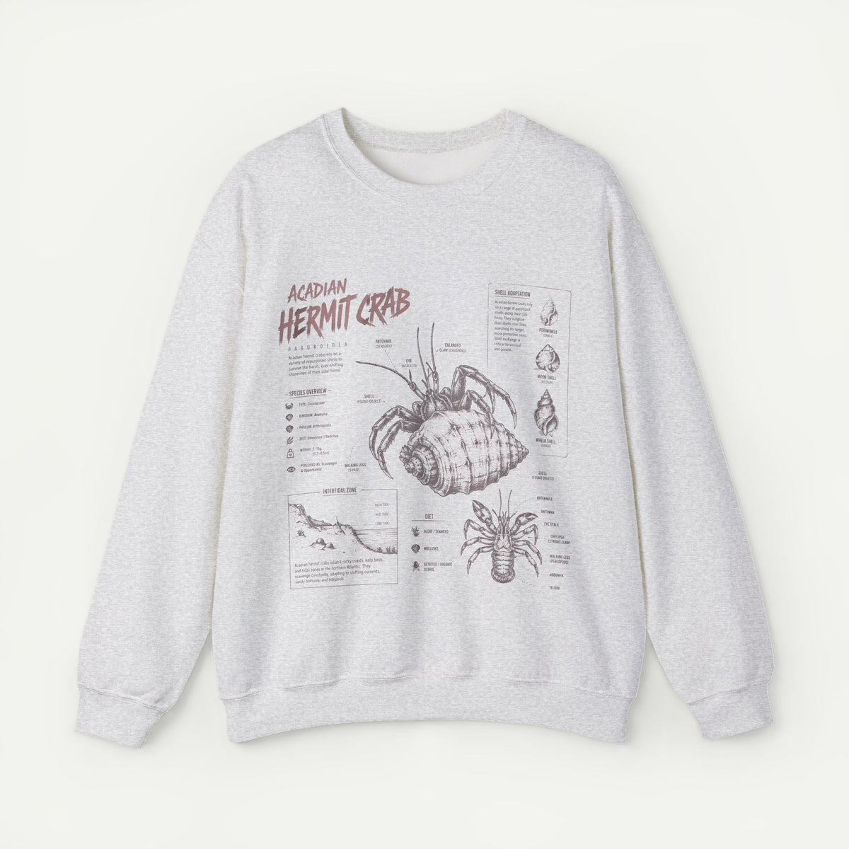 Hermit Crab Anatomy Sweatshirt — Acadian Hermit Crab Illustration