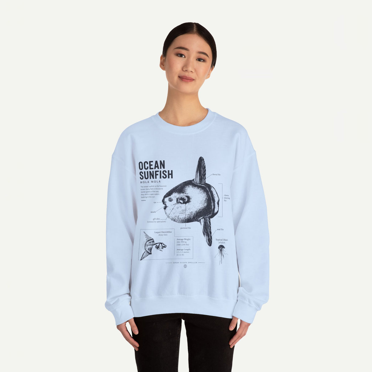 Ocean Sunfish Sweatshirt — Vintage Marine Illustration Pullover