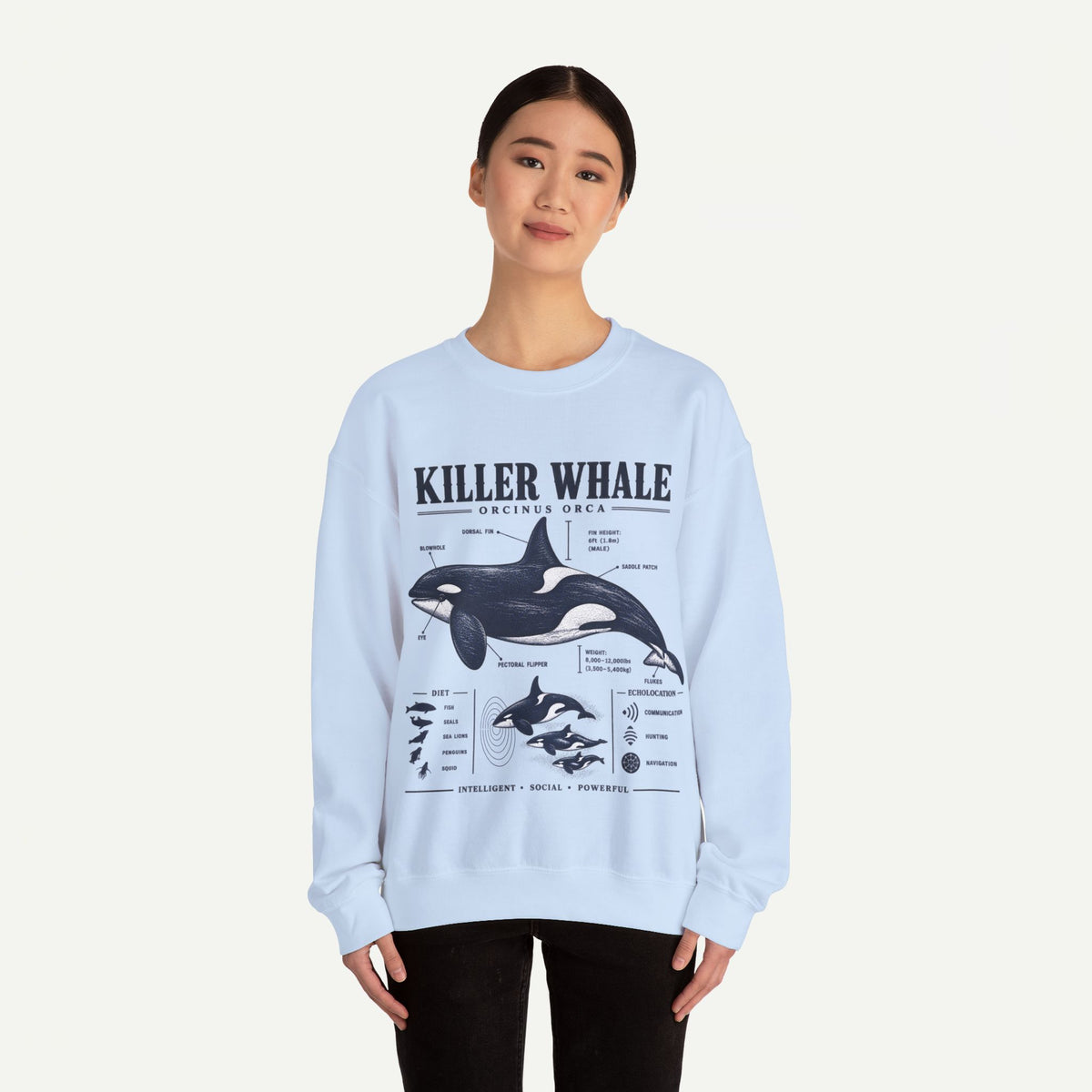 Killer Whale Anatomy Sweatshirt