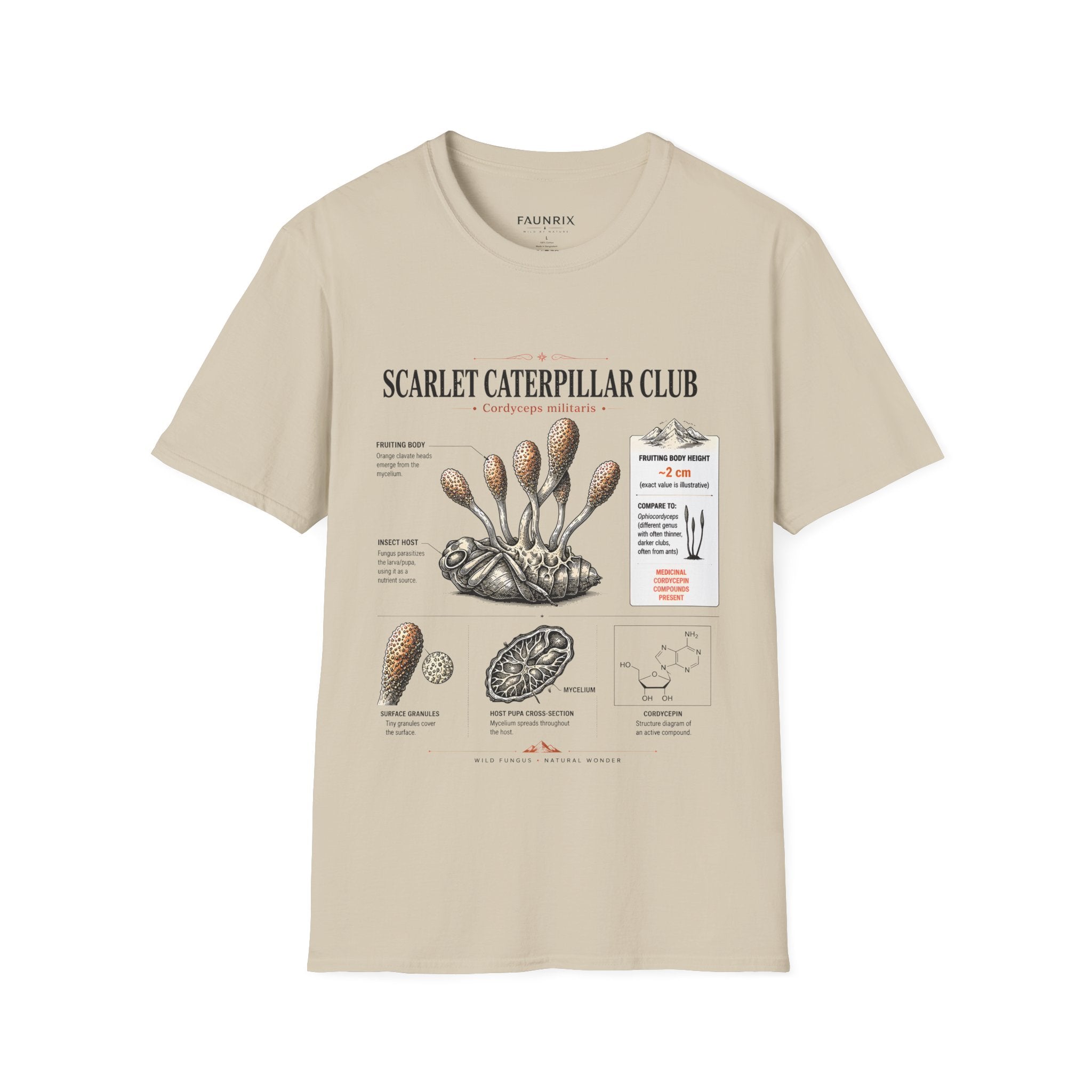 Scarlet Caterpillar Club Tee — Vintage Entomology Mushroom Graphic T-Shirt Secondary image