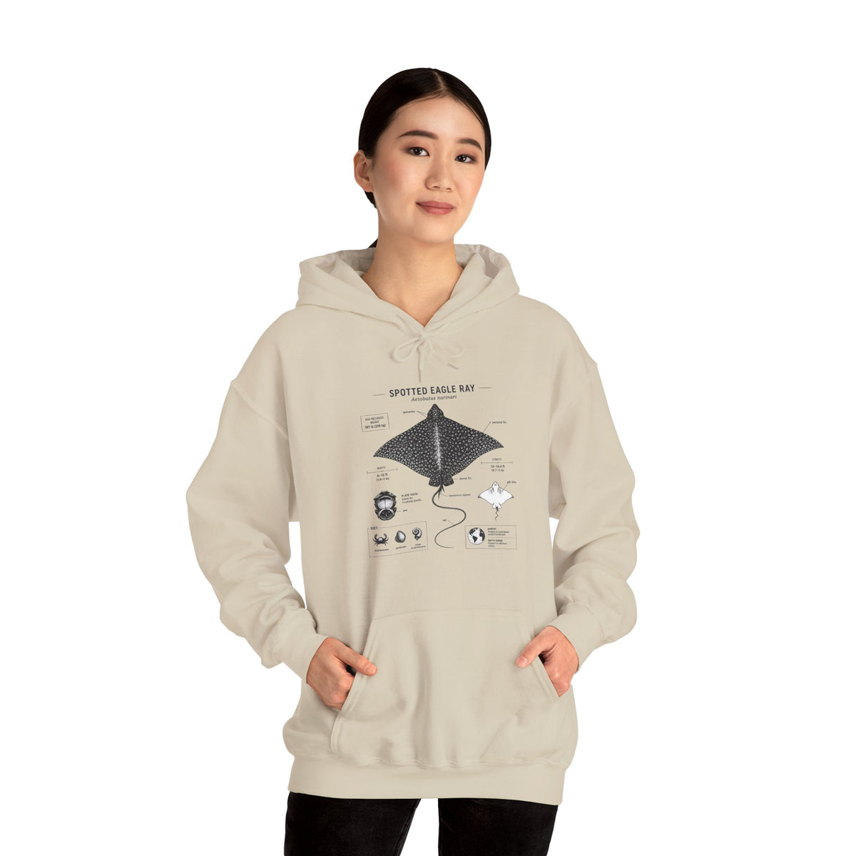 Manta Ray Anatomy Hoodie – Spotted Eagle Ray Diagram Sweatshirt