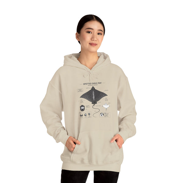 Manta Ray Anatomy Hoodie – Spotted Eagle Ray Diagram Sweatshirt