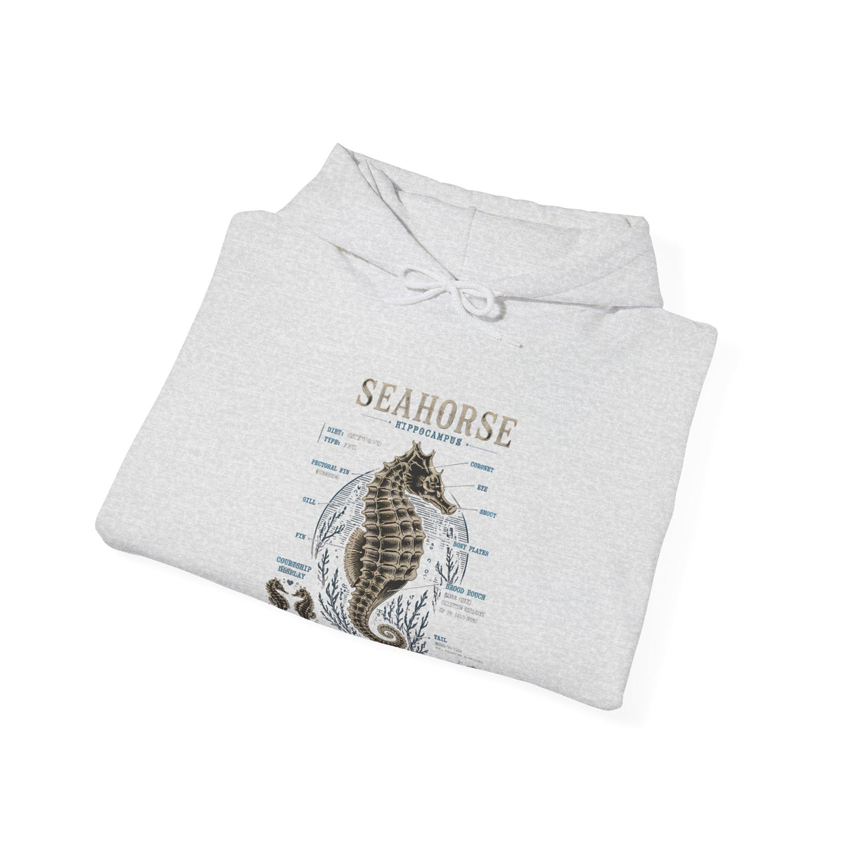 Seahorse Anatomy Hoodie — Vintage Marine Illustration Sweatshirt