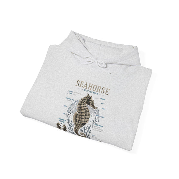 Seahorse Anatomy Hoodie — Vintage Marine Illustration Sweatshirt