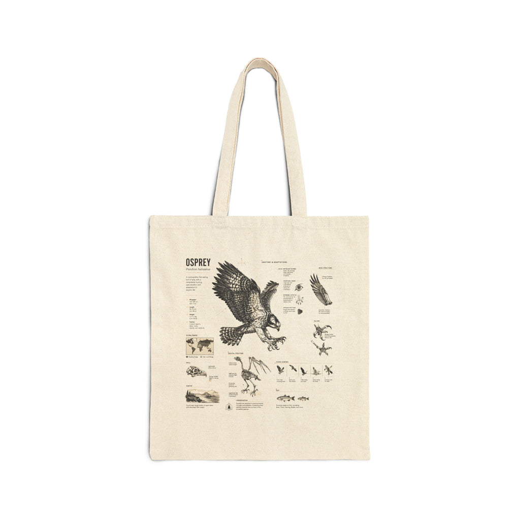 Osprey Anatomy Canvas Tote Bag — Vintage Bird Illustration Eco Tote