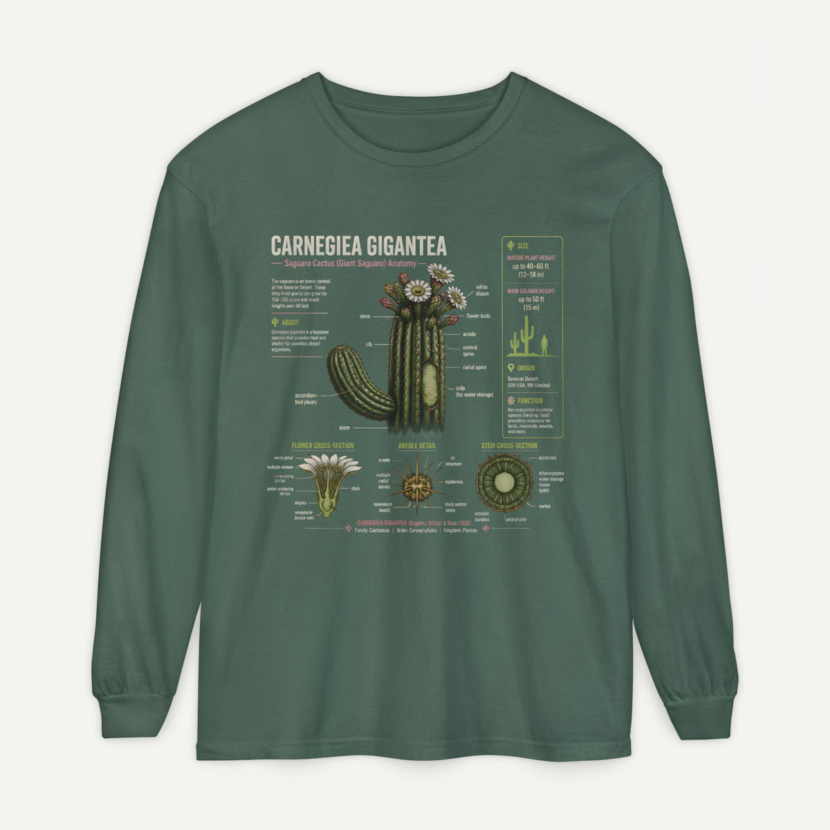 Saguaro Anatomy Long Sleeve Tee — Carnegiea Gigantea Cactus Diagram