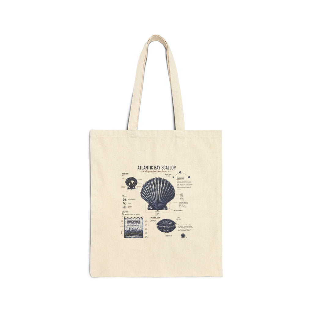Vintage Atlantic Bay Scallop Anatomy Beach Tote Bag