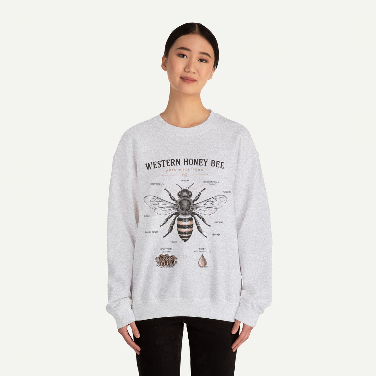 Western Honey Bee Sweatshirt — Vintage Bee Anatomy Graphic