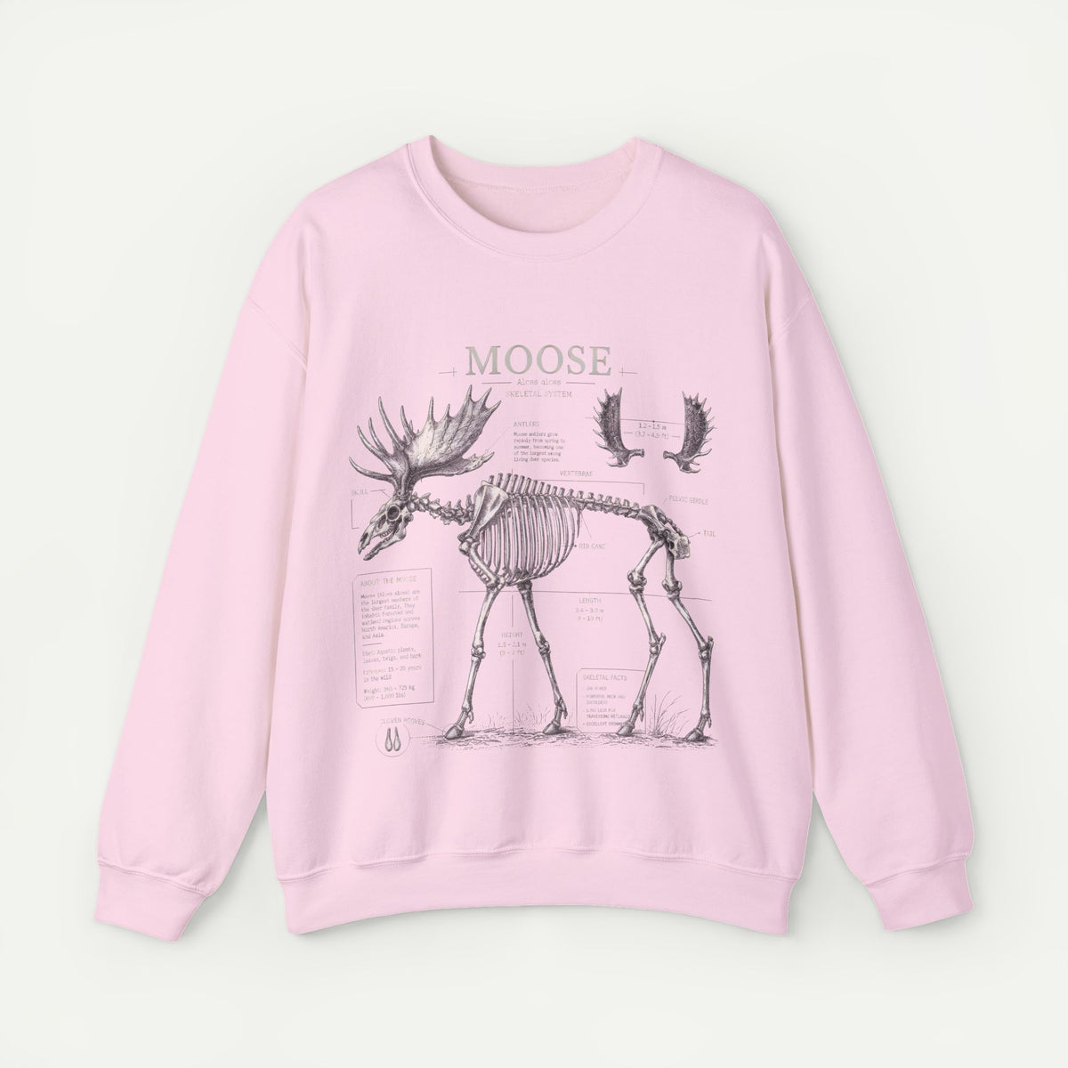 Moose Skeleton Anatomy Sweatshirt